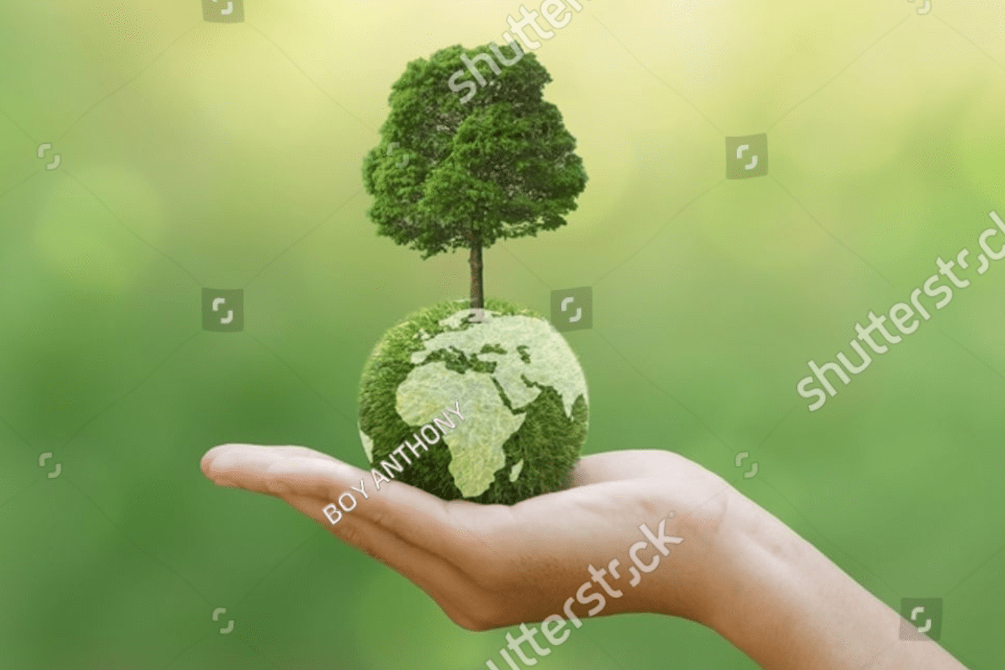 A hand holding a small globe with a tree growing on top, symbolizing environmental conservation and sustainability, with a green blurred background.